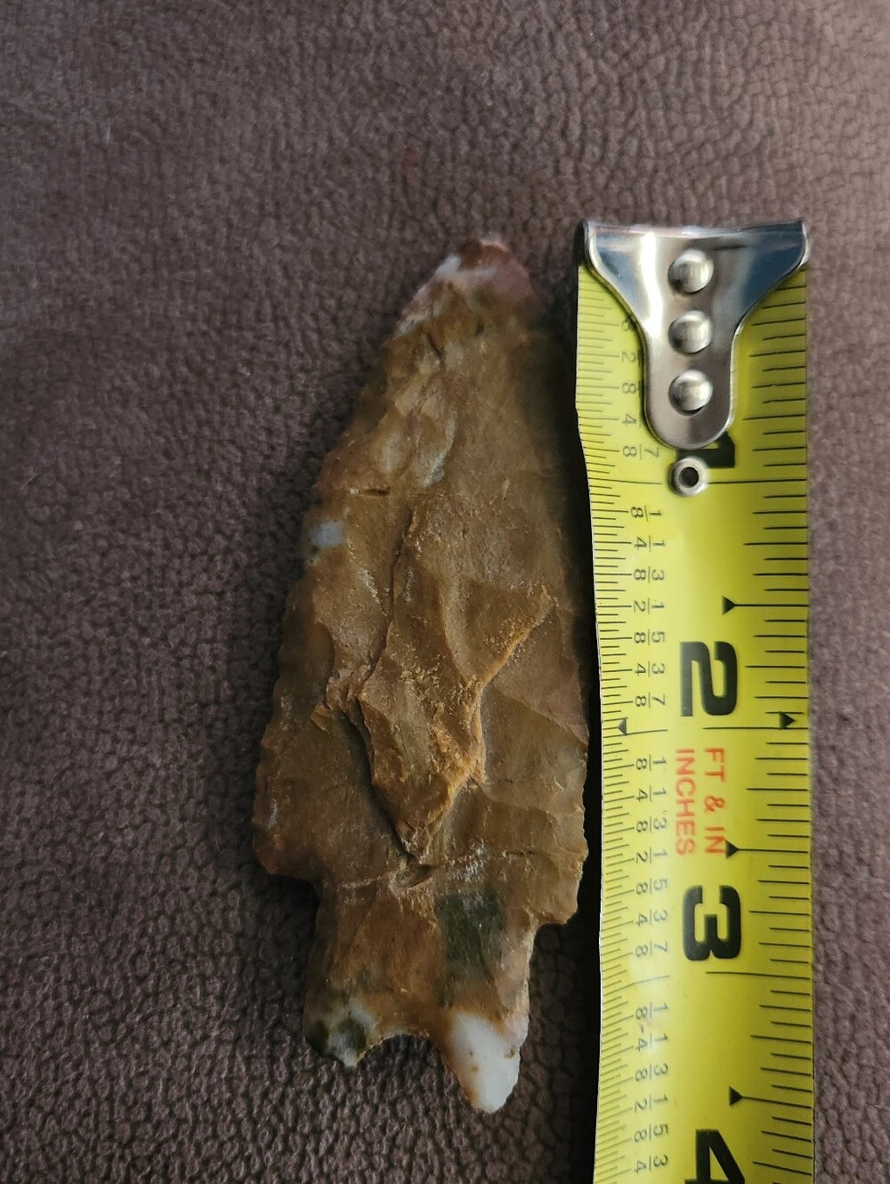 High Grade JESPERIZED Chert Brown Fossil Stone - Brown - Picture 7 of 16